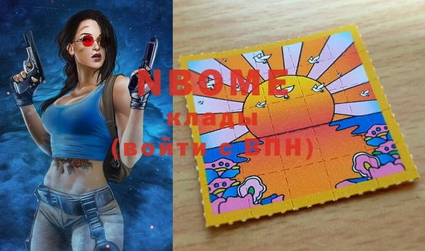 индика Саяногорск