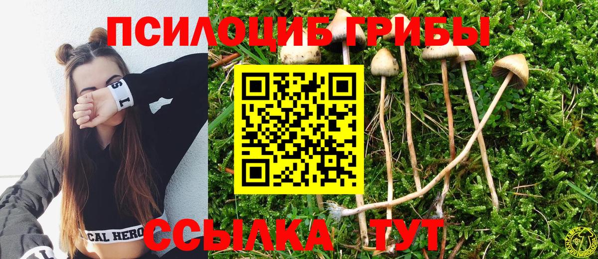 Псилоцибиновые грибы прущие грибы Спасск-Дальний